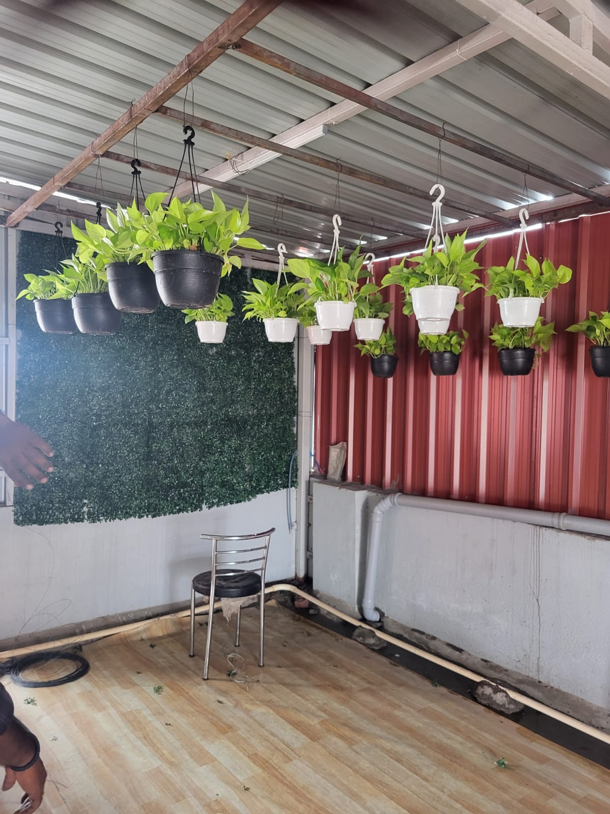 Rooftop garden with hanging plants at S A M Women's PG